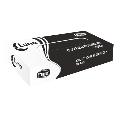 Chusteczka higieniczna A'100x40, box, 2warstwy